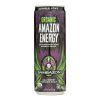 Sambazon Organic Amazon Energy Drink - Jungle Love - Case of 12 - 12 fl oz