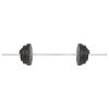 vidaXL Barbell Set 66.1 lb